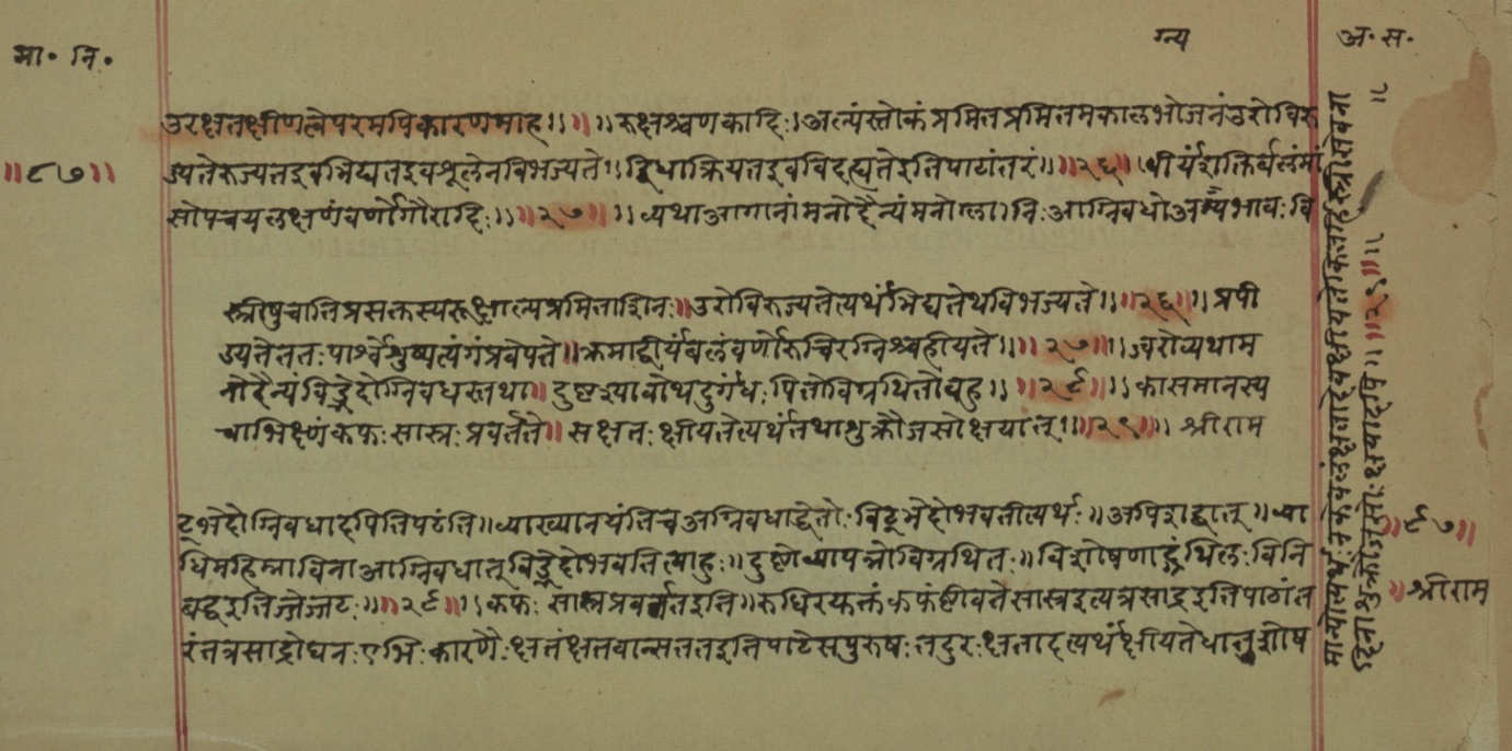 Mādhavanidāna (2), page 32
