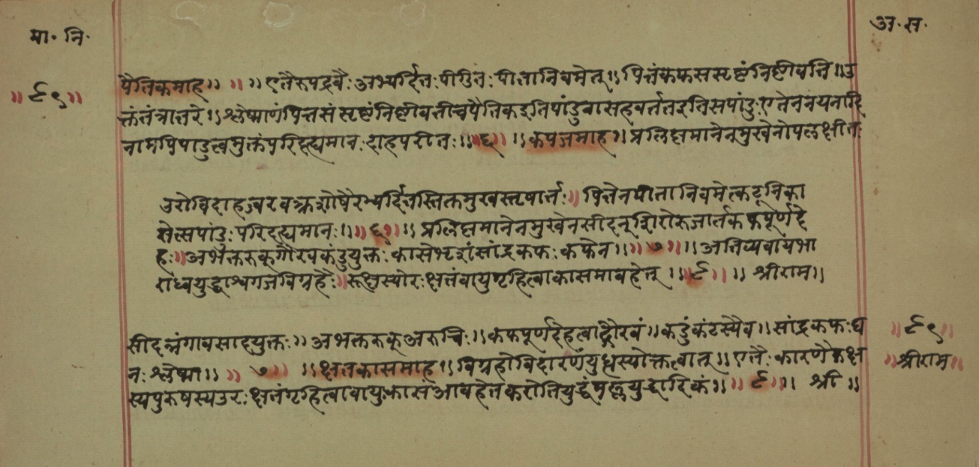 Mādhavanidāna (2), page 37