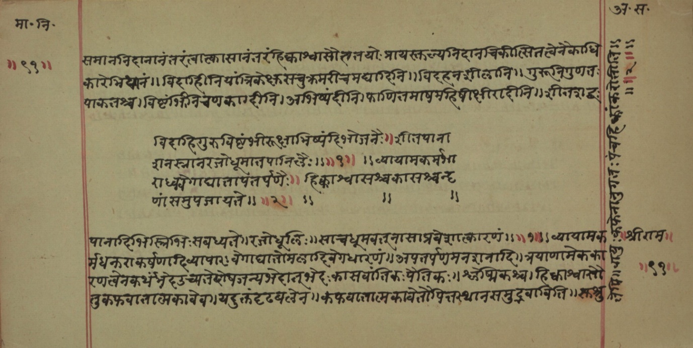 Mādhavanidāna (2), page 41