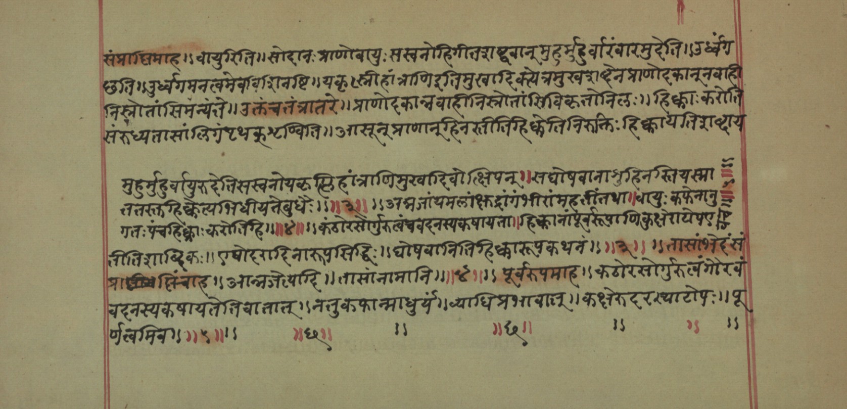 Mādhavanidāna (2), page 42
