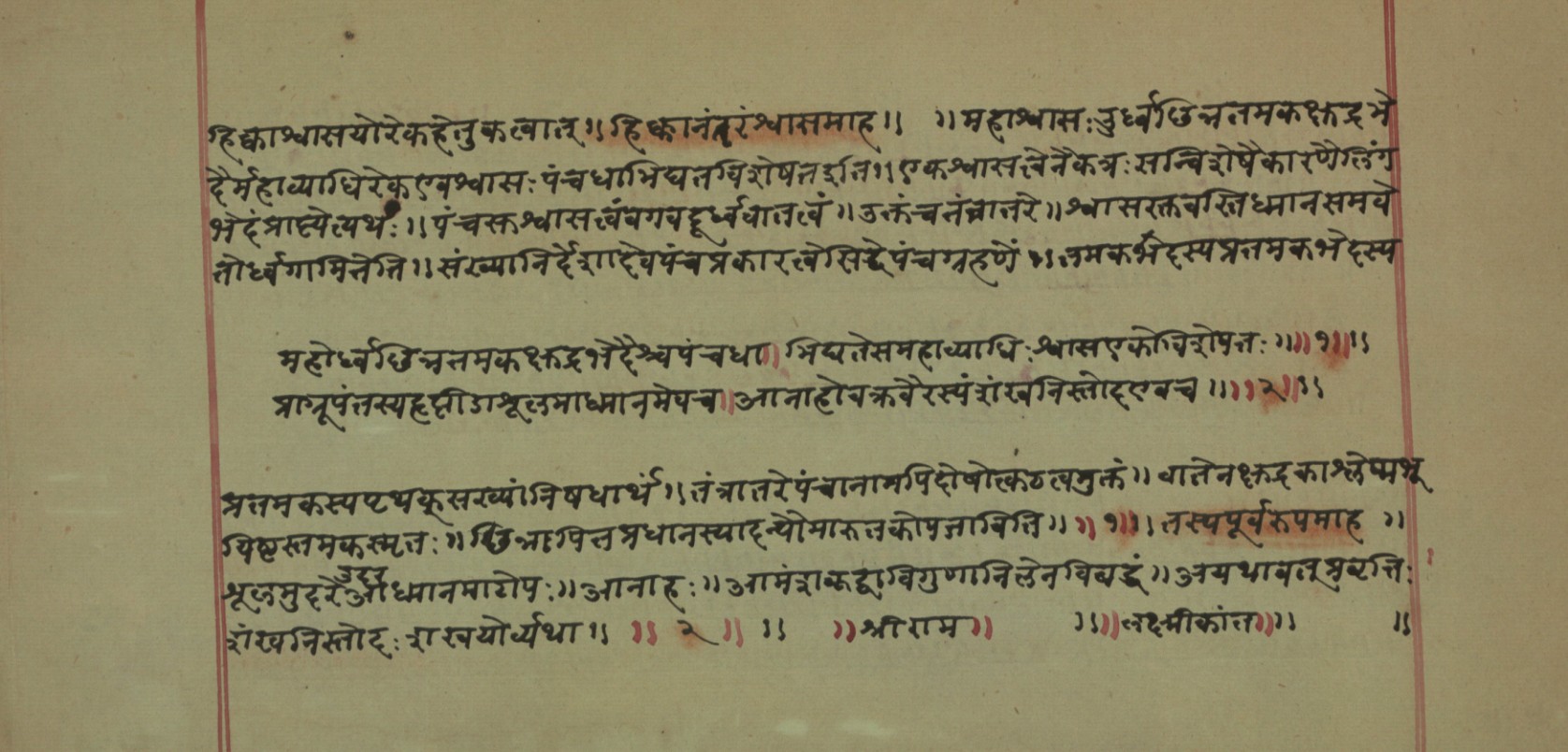 Mādhavanidāna (2), page 46