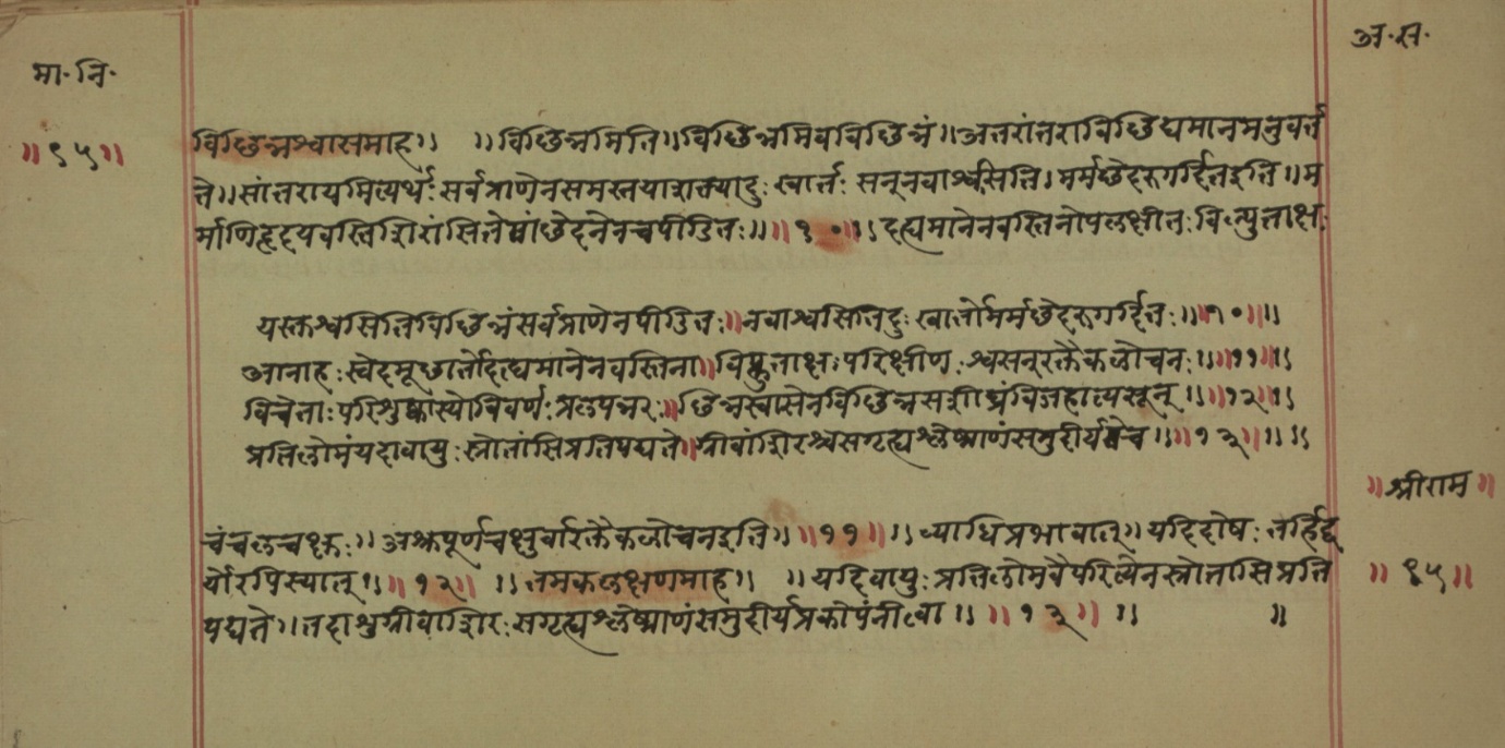 Mādhavanidāna (2), page 49