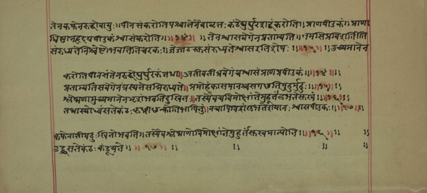 Mādhavanidāna (2), page 50