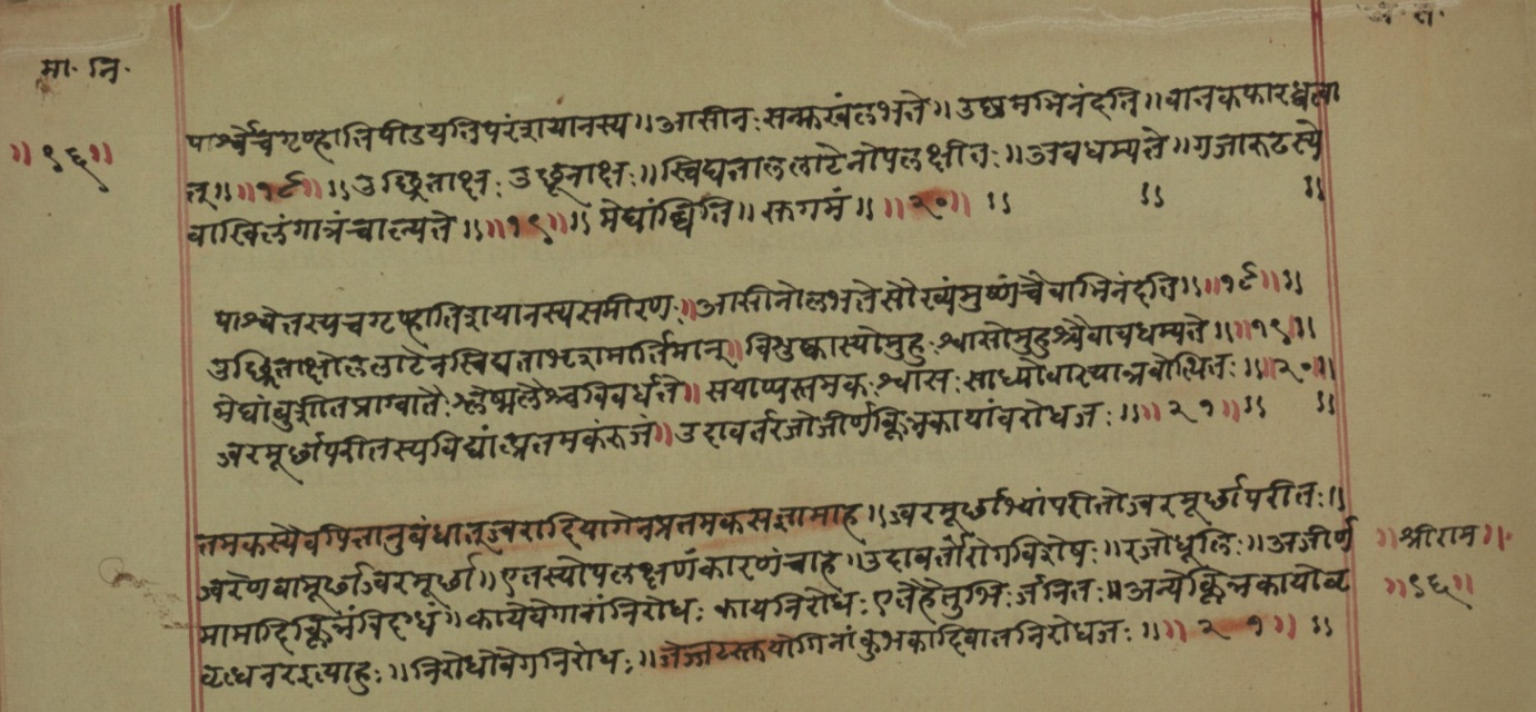 Mādhavanidāna (2), page 51