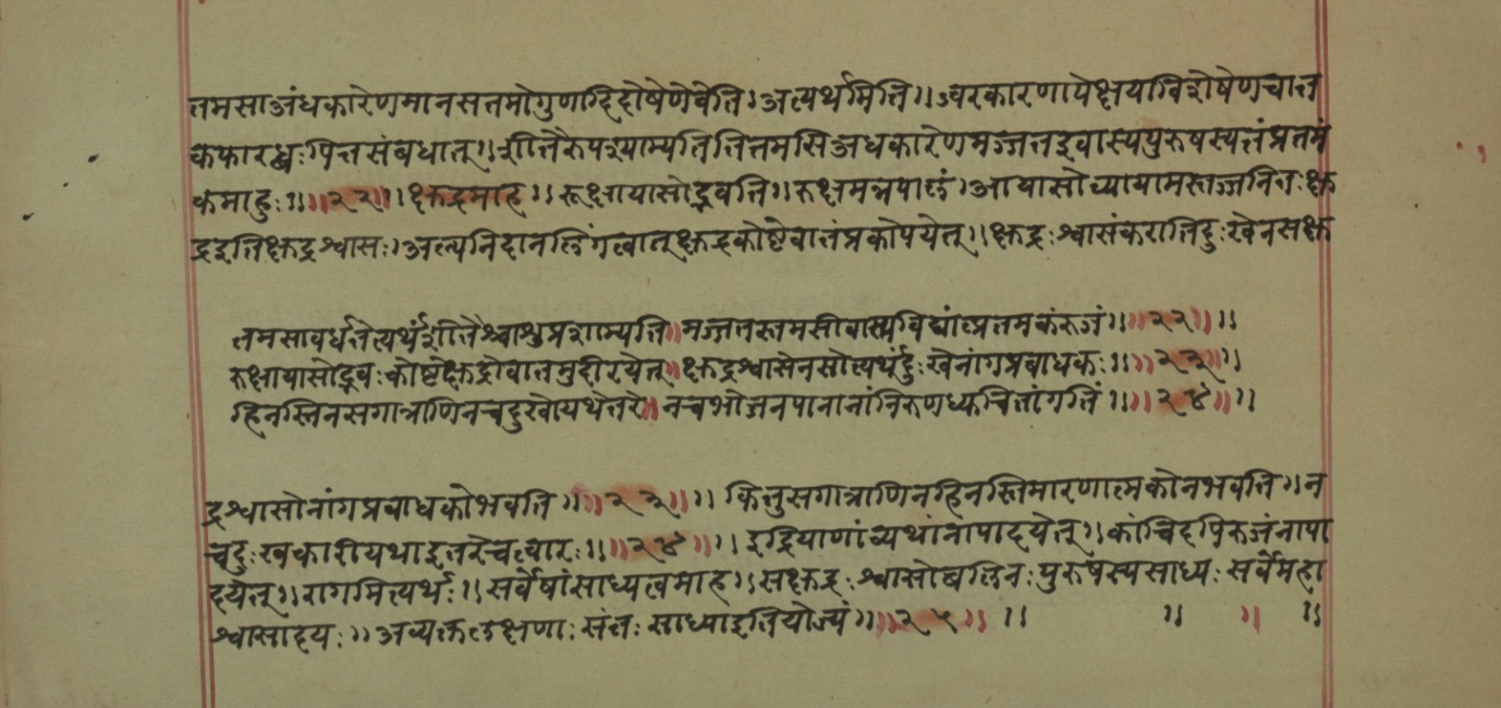 Mādhavanidāna (2), page 52