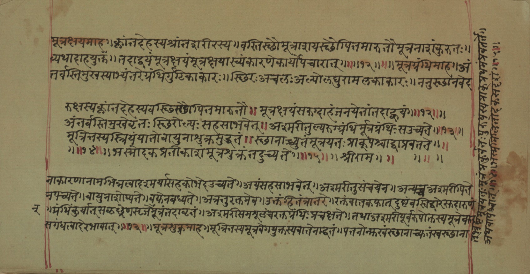 Mādhavanidāna (2), page 56