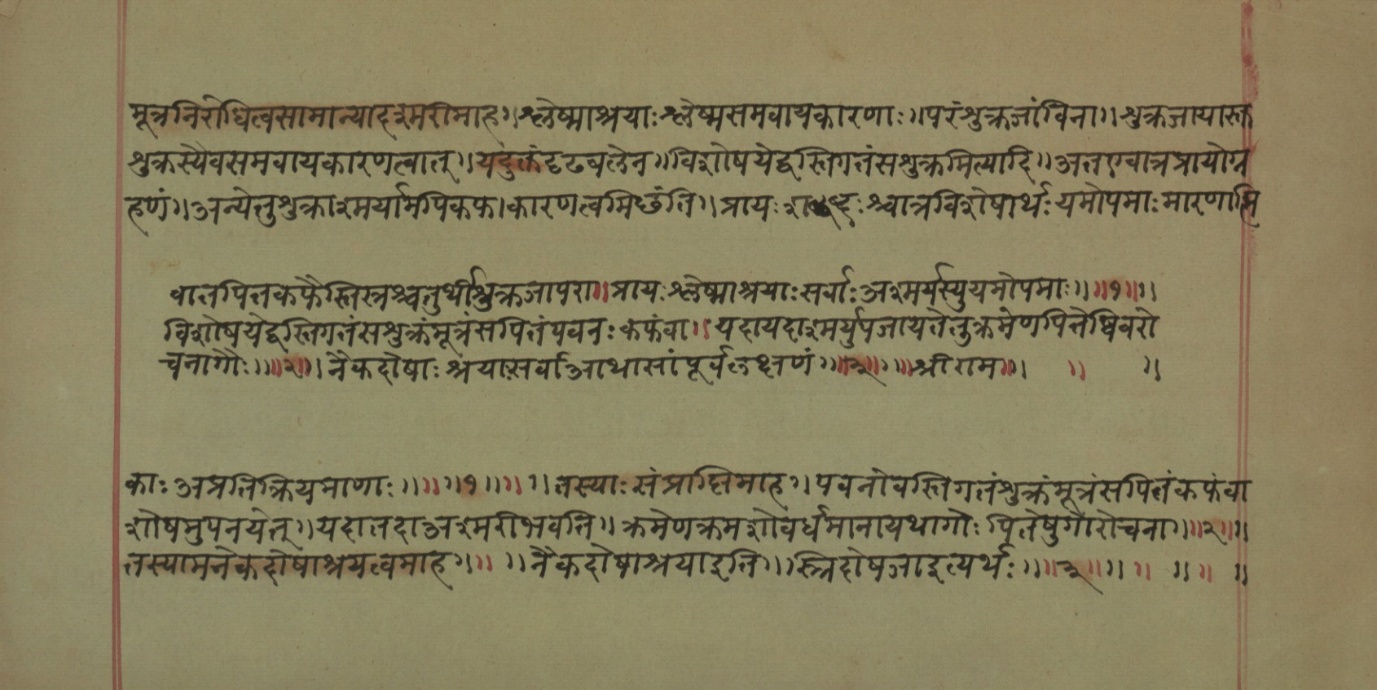 Mādhavanidāna (2), page 60