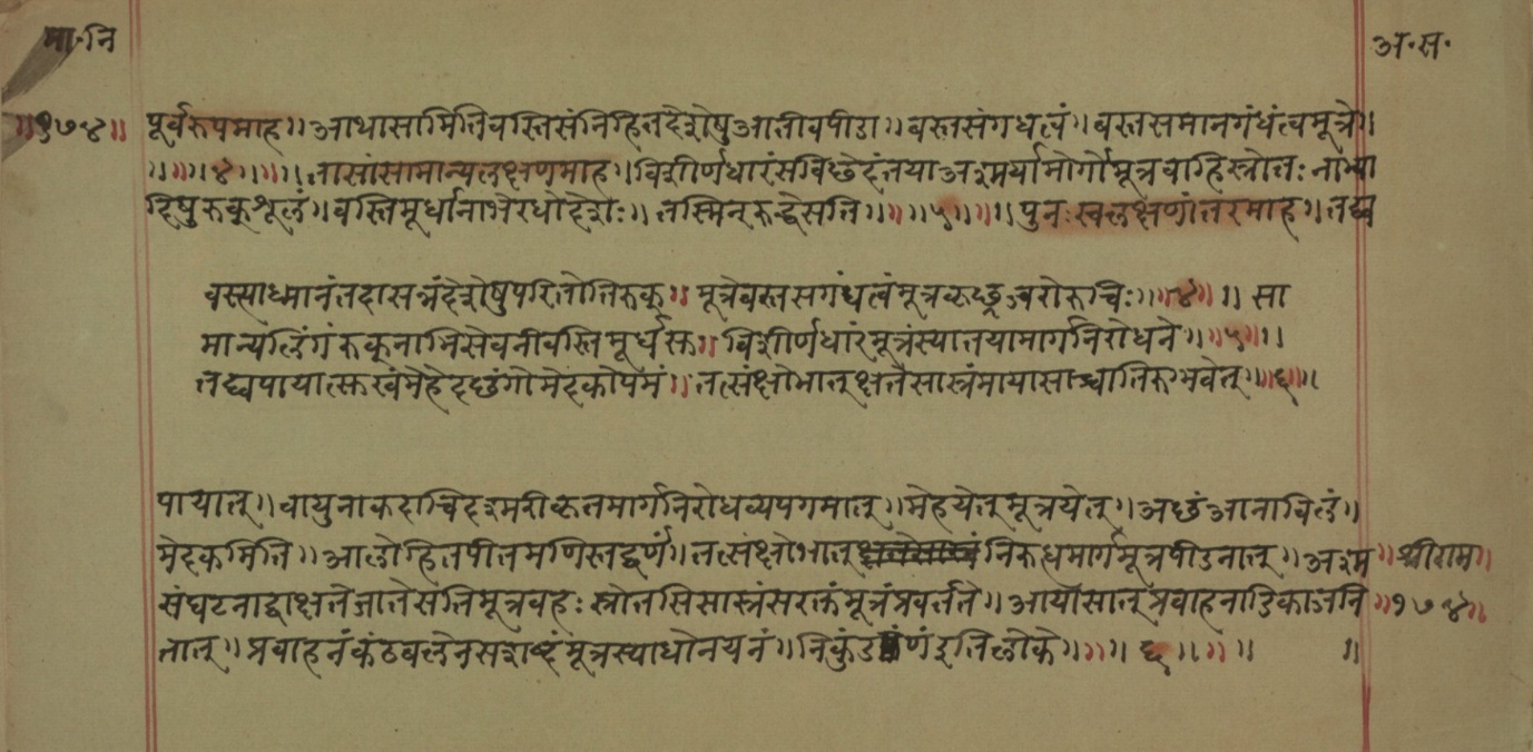 Mādhavanidāna (2), page 61