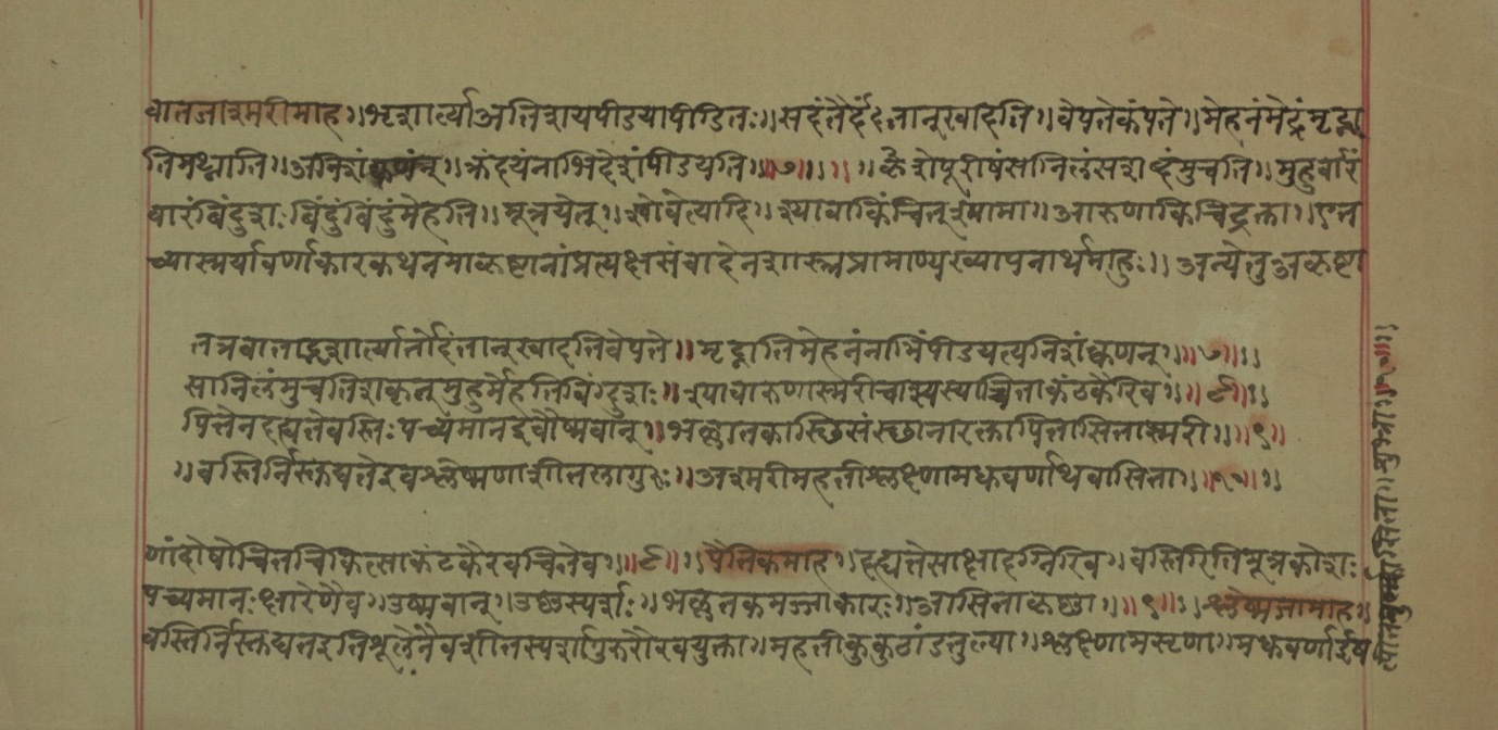 Mādhavanidāna (2), page 62