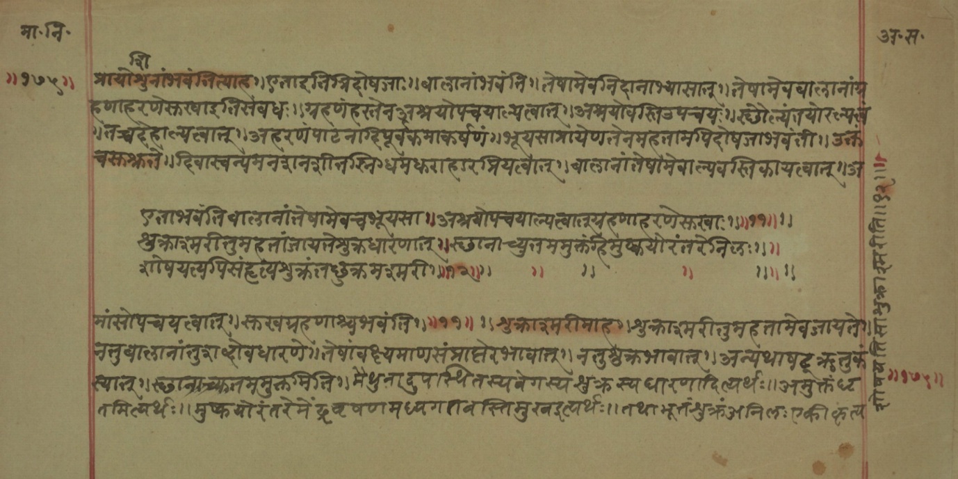 Mādhavanidāna (2), page 63