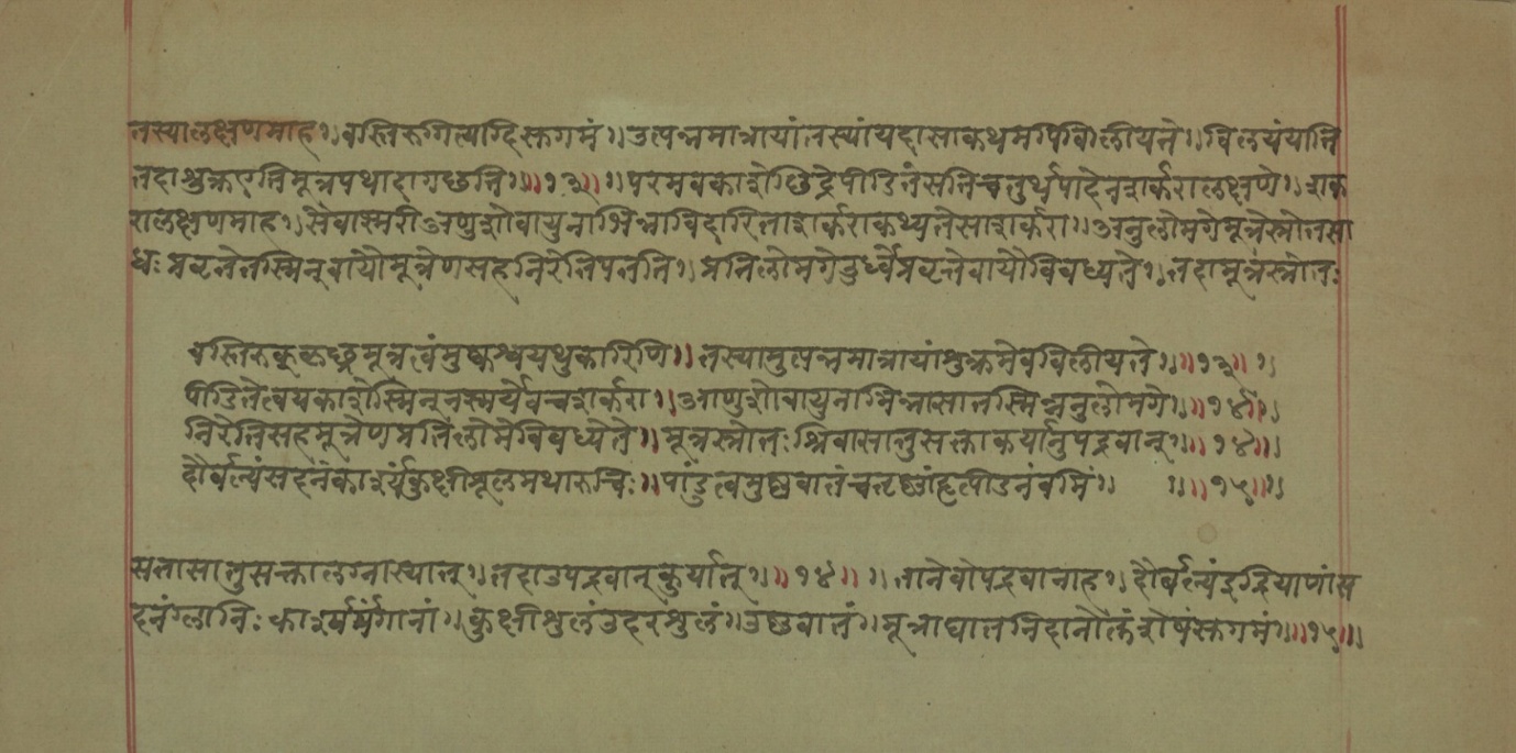 Mādhavanidāna (2), page 64