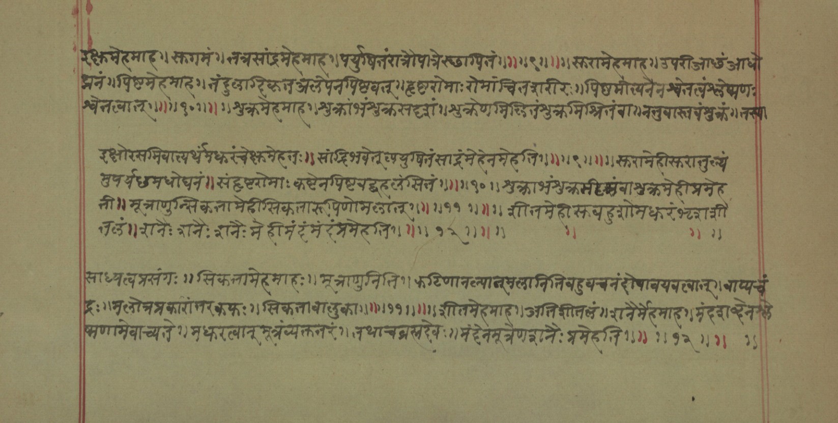 Mādhavanidāna (2), page 66