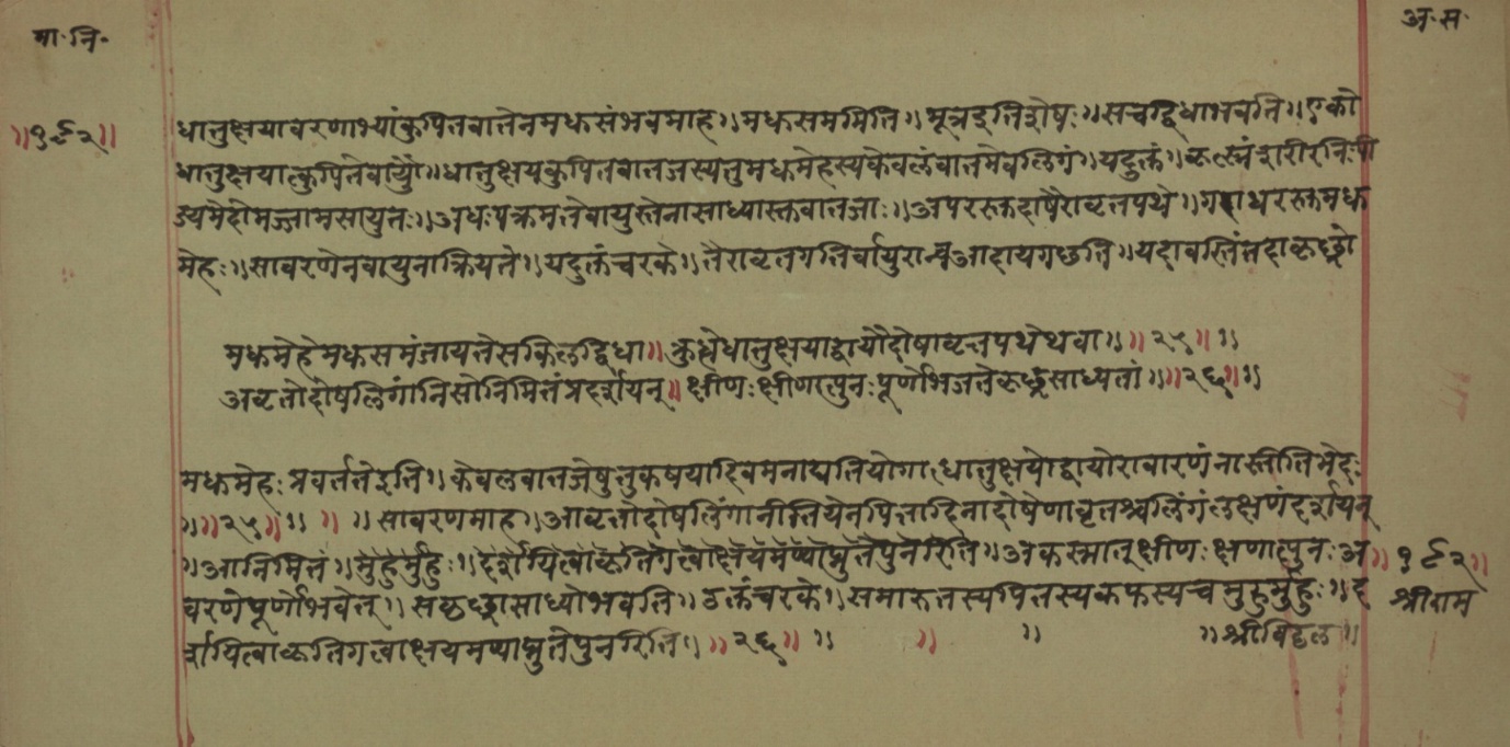 Mādhavanidāna (2), page 71