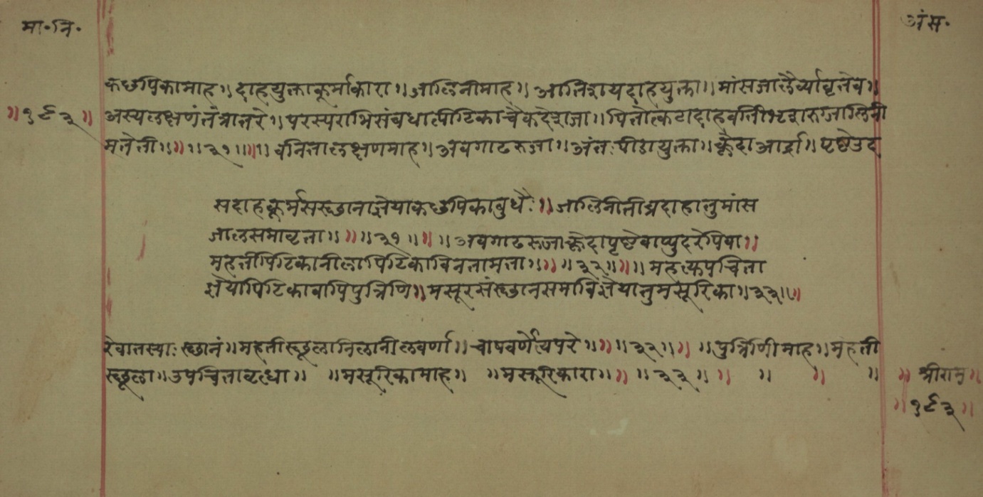 Mādhavanidāna (2), page 73