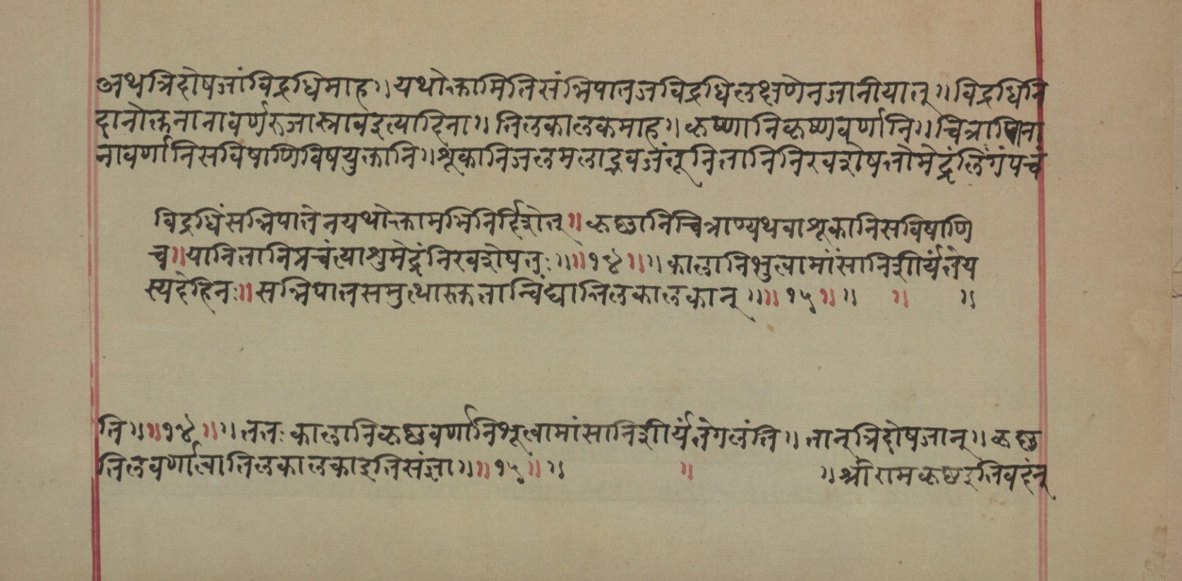Mādhavanidāna (2), page 80