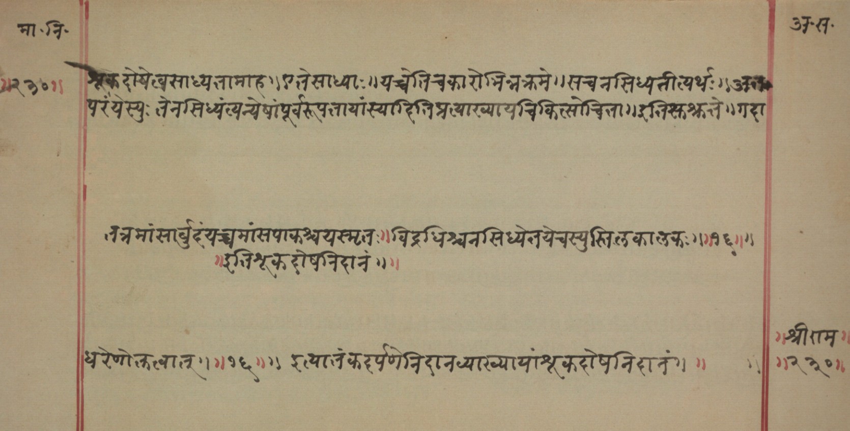 Mādhavanidāna (2), page 81