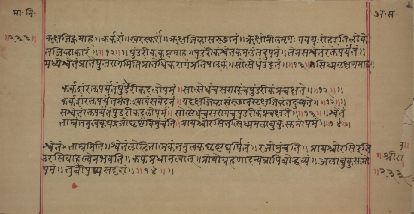 Mādhavanidāna (2), page 87