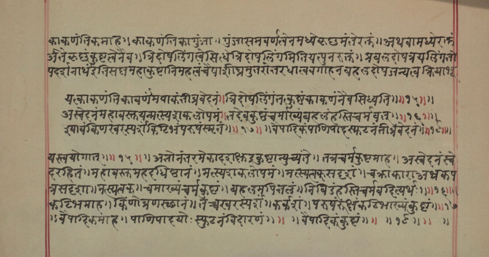 Mādhavanidāna (2), page 88