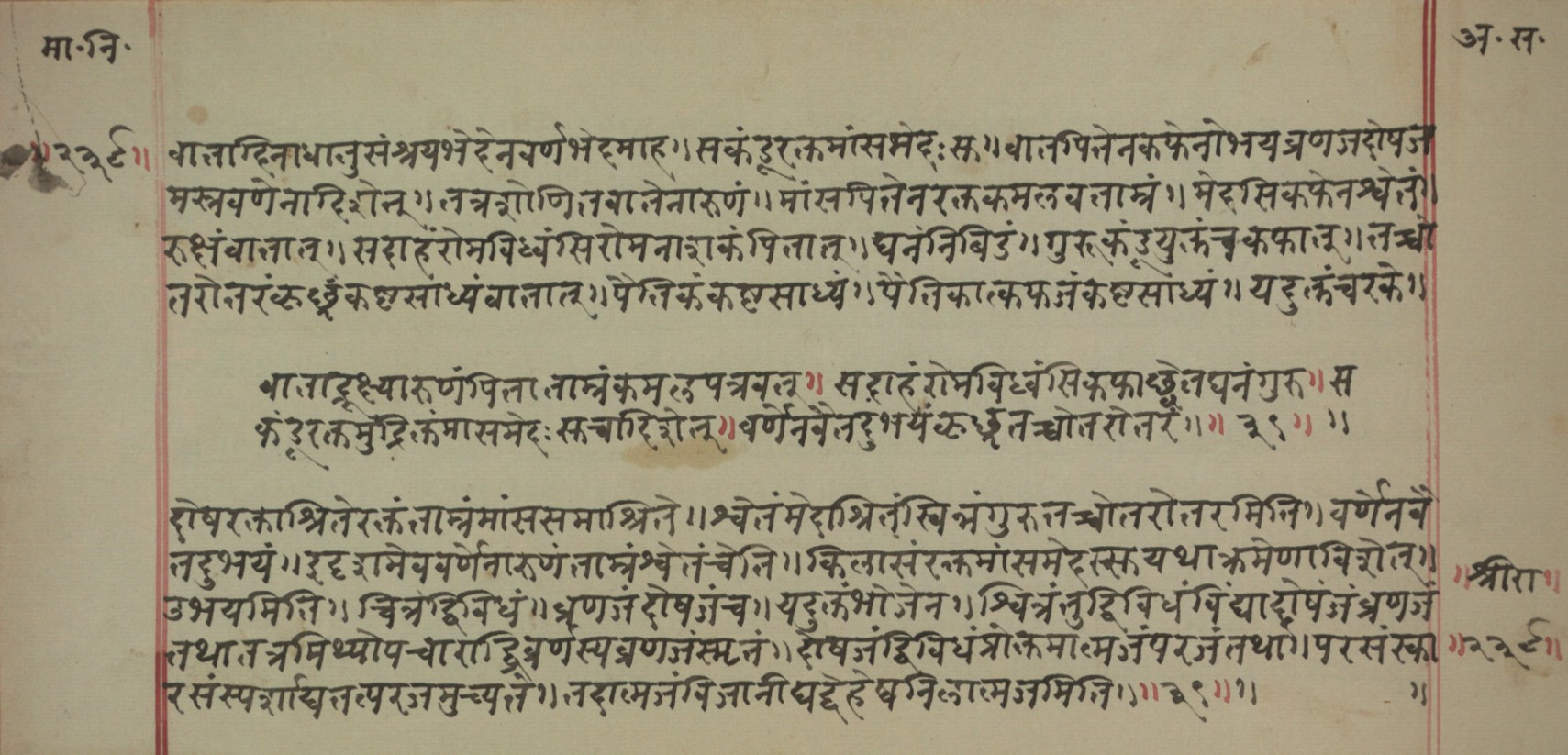Mādhavanidāna (2), page 97