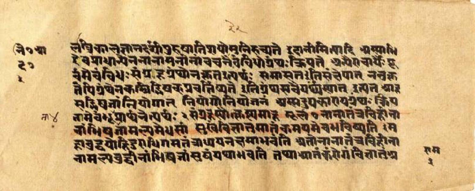 Mādhavanidāna (3), page 8