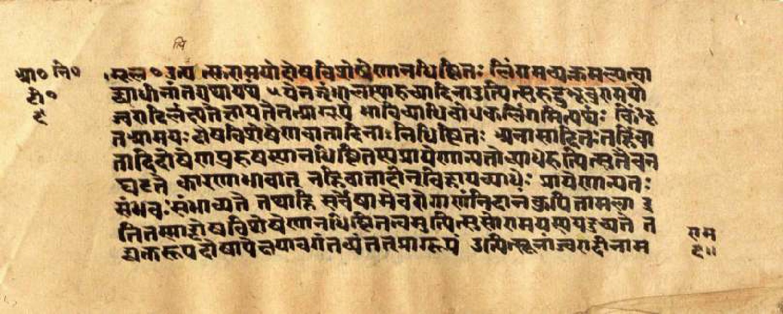 Mādhavanidāna (3), page 14