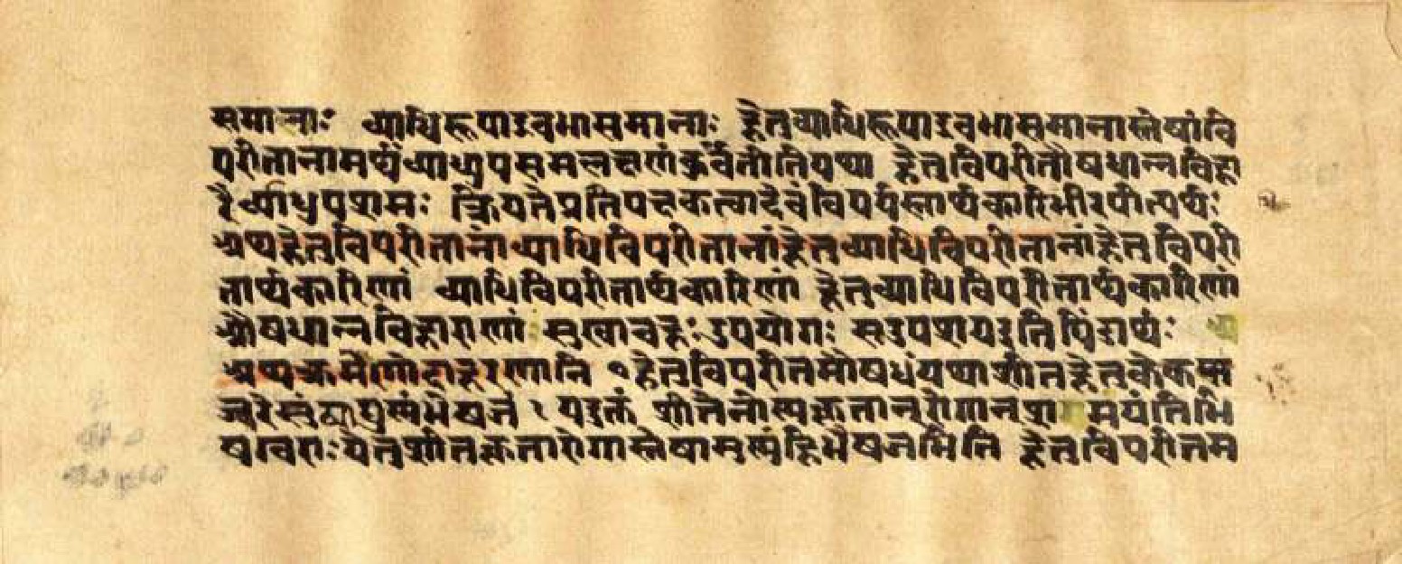 Mādhavanidāna (3), page 19