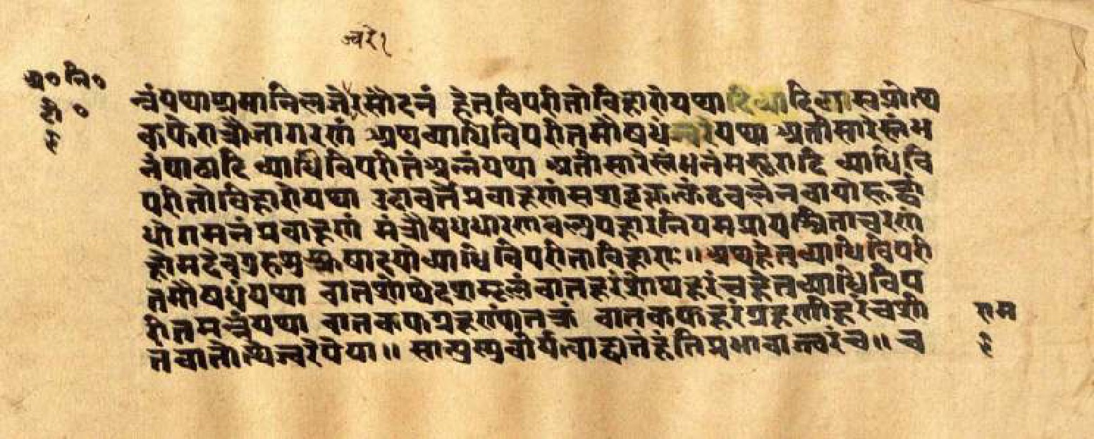 Mādhavanidāna (3), page 20