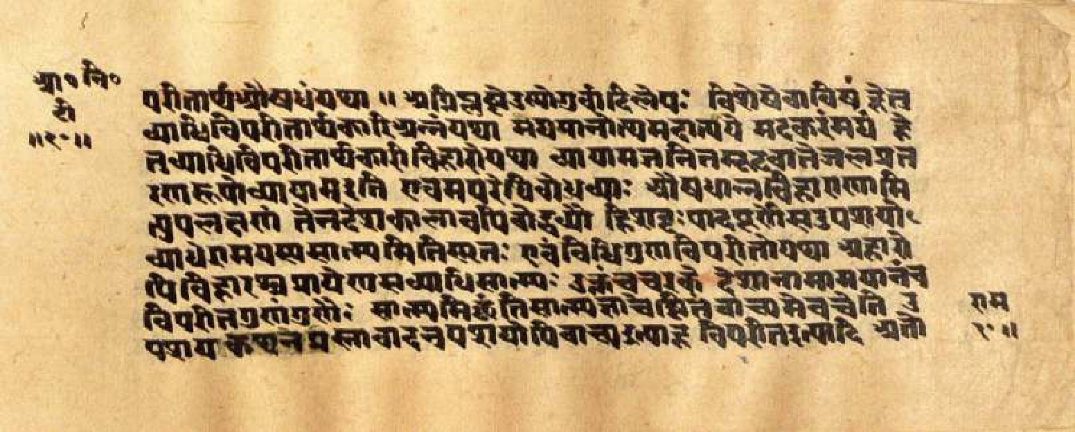 Mādhavanidāna (3), page 22