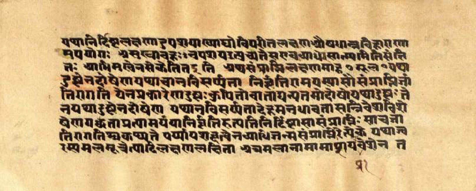 Mādhavanidāna (3), page 23