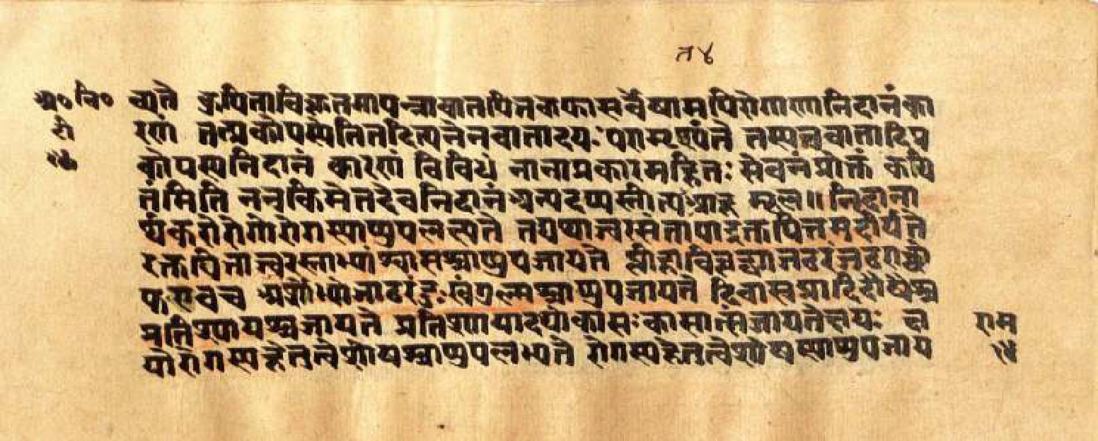 Mādhavanidāna (3), page 30