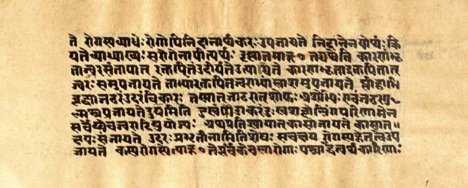 Mādhavanidāna (3), page 31