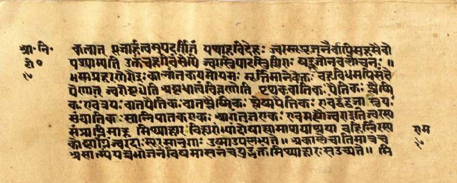 Mādhavanidāna (3), page 36