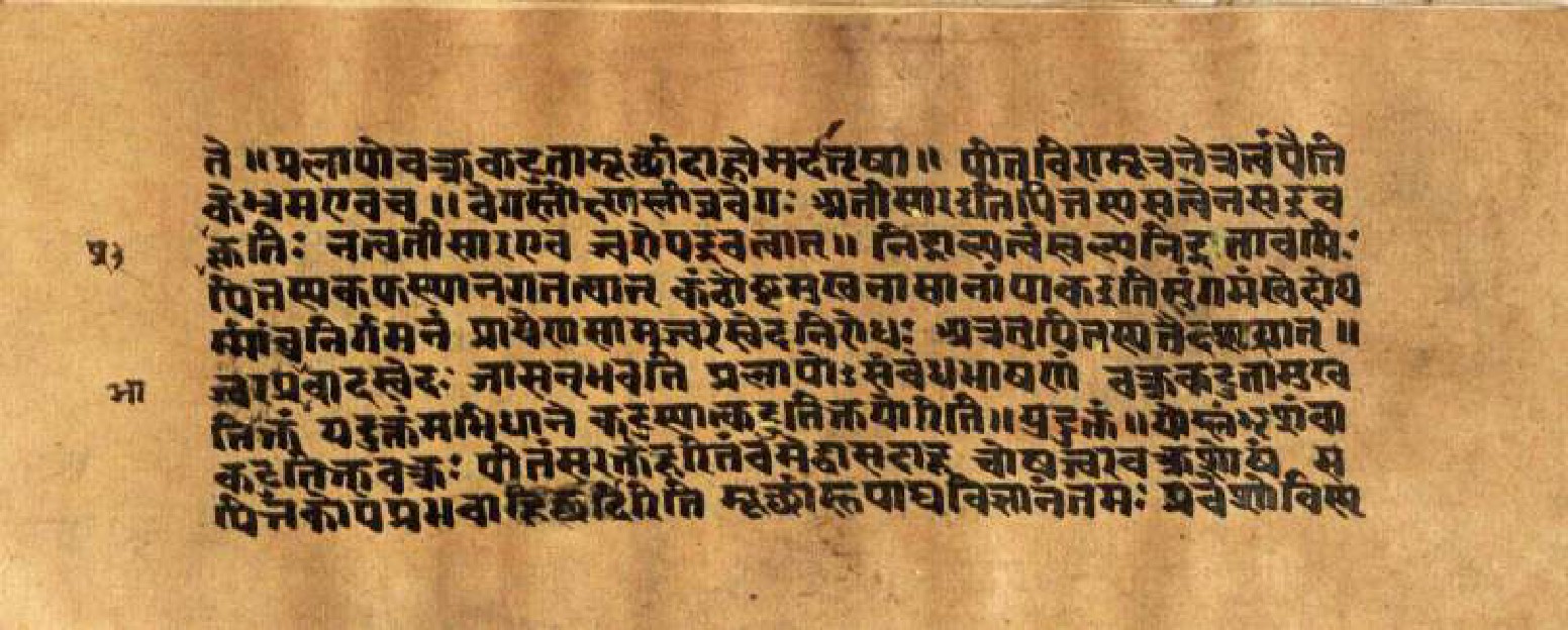 Mādhavanidāna (3), page 43