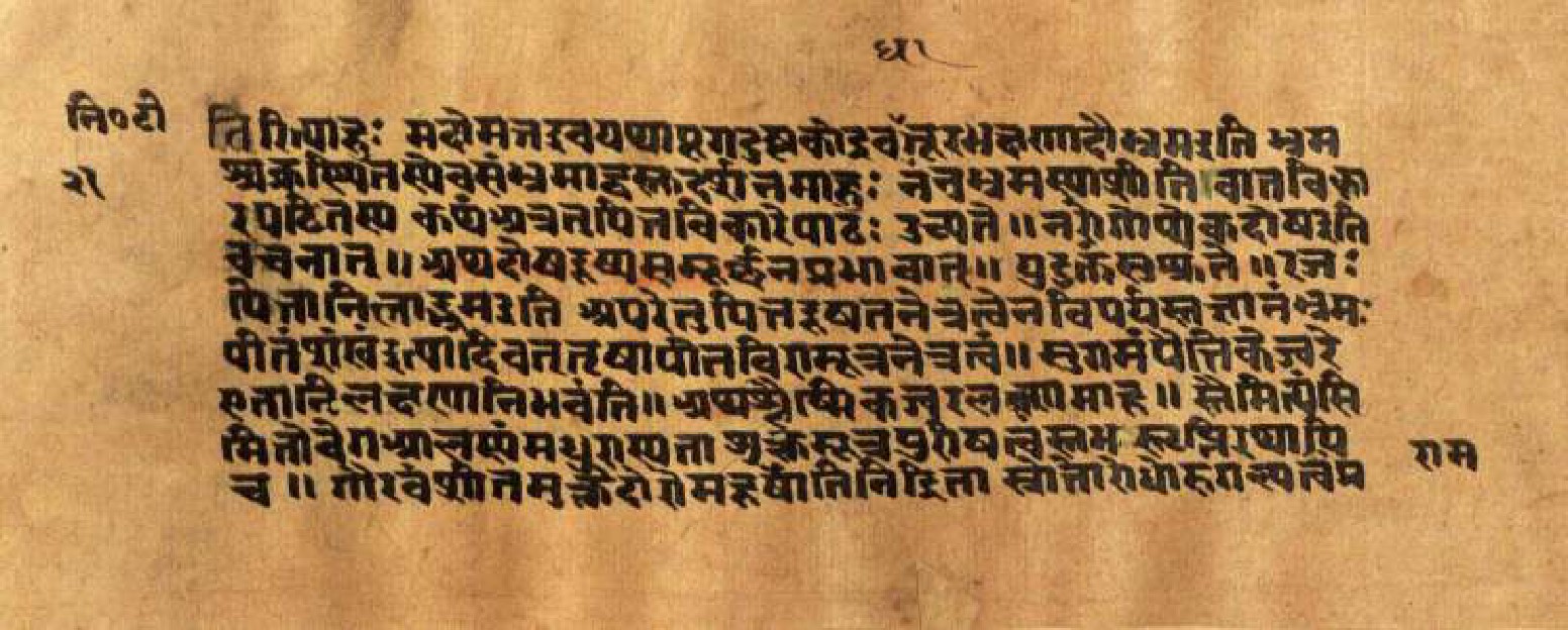 Mādhavanidāna (3), page 44