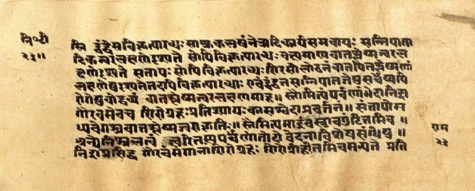 Mādhavanidāna (3), page 48