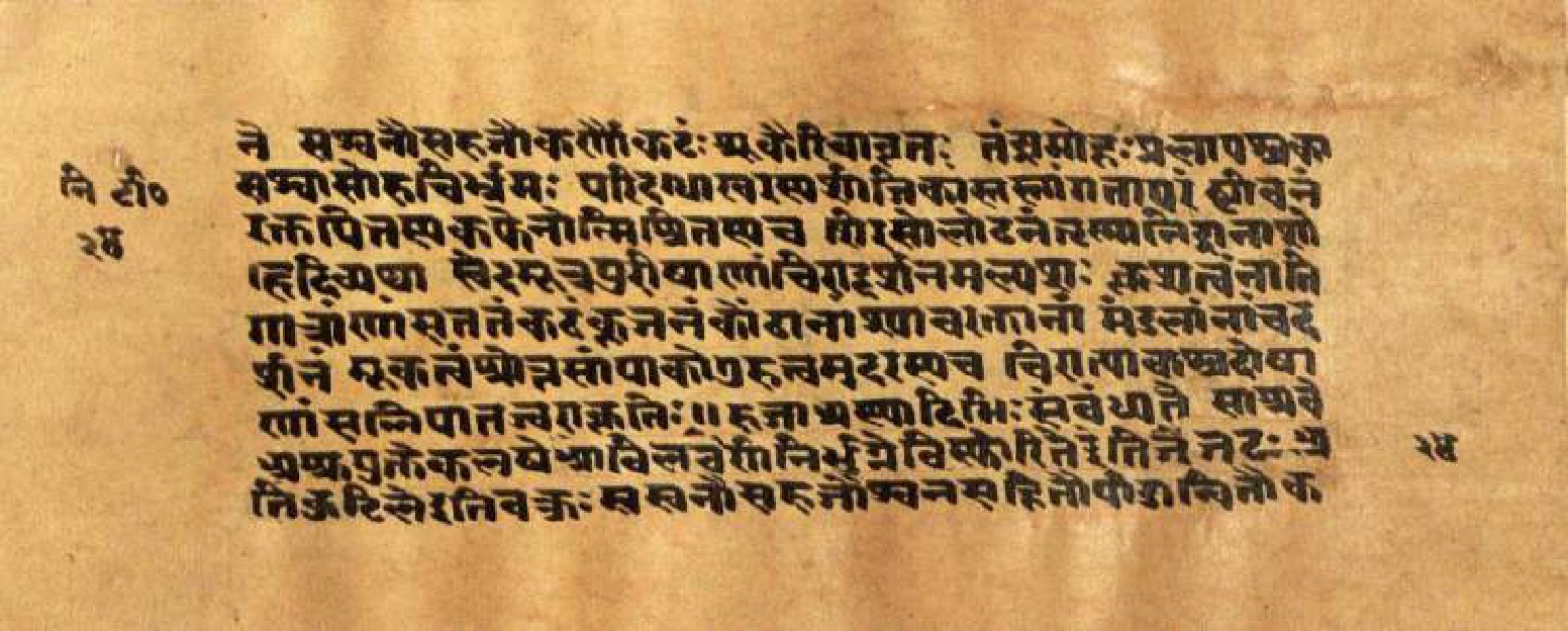 Mādhavanidāna (3), page 50