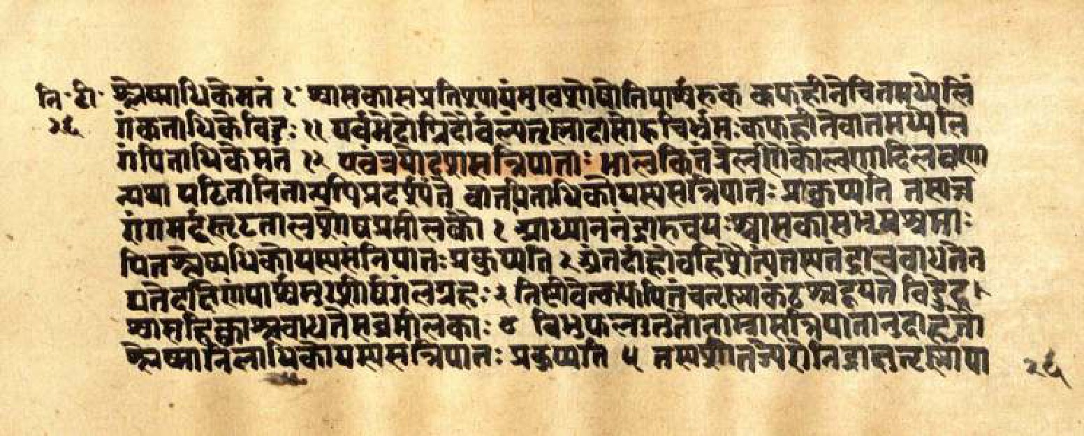 Mādhavanidāna (3), page 54