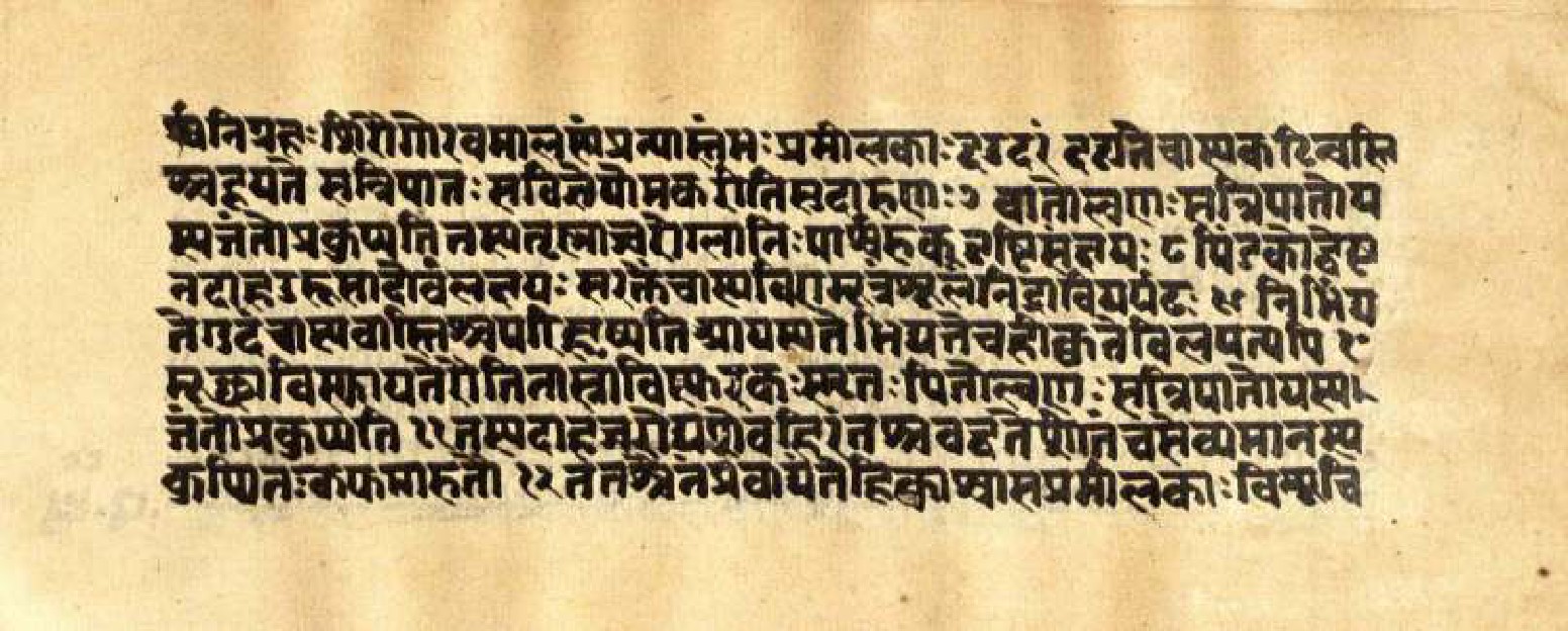 Mādhavanidāna (3), page 55