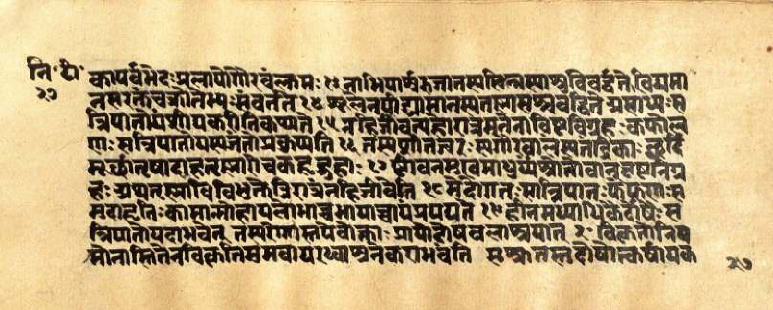 Mādhavanidāna (3), page 56