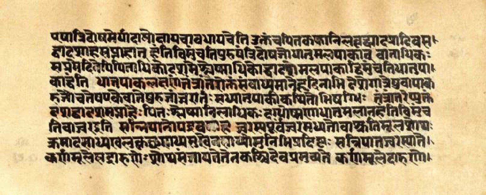 Mādhavanidāna (3), page 59
