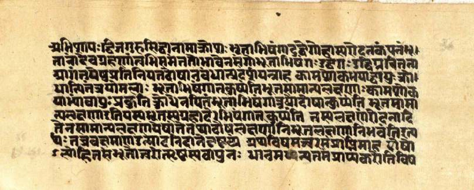 Mādhavanidāna (3), page 63