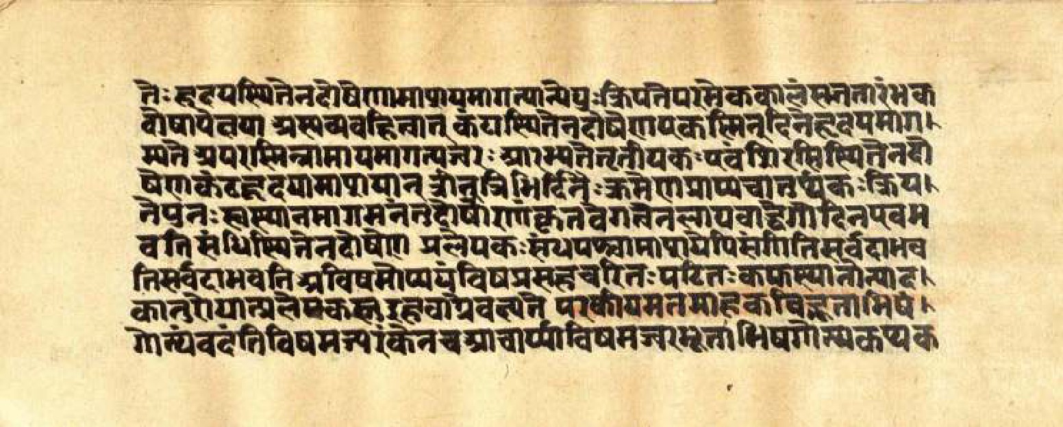 Mādhavanidāna (3), page 69