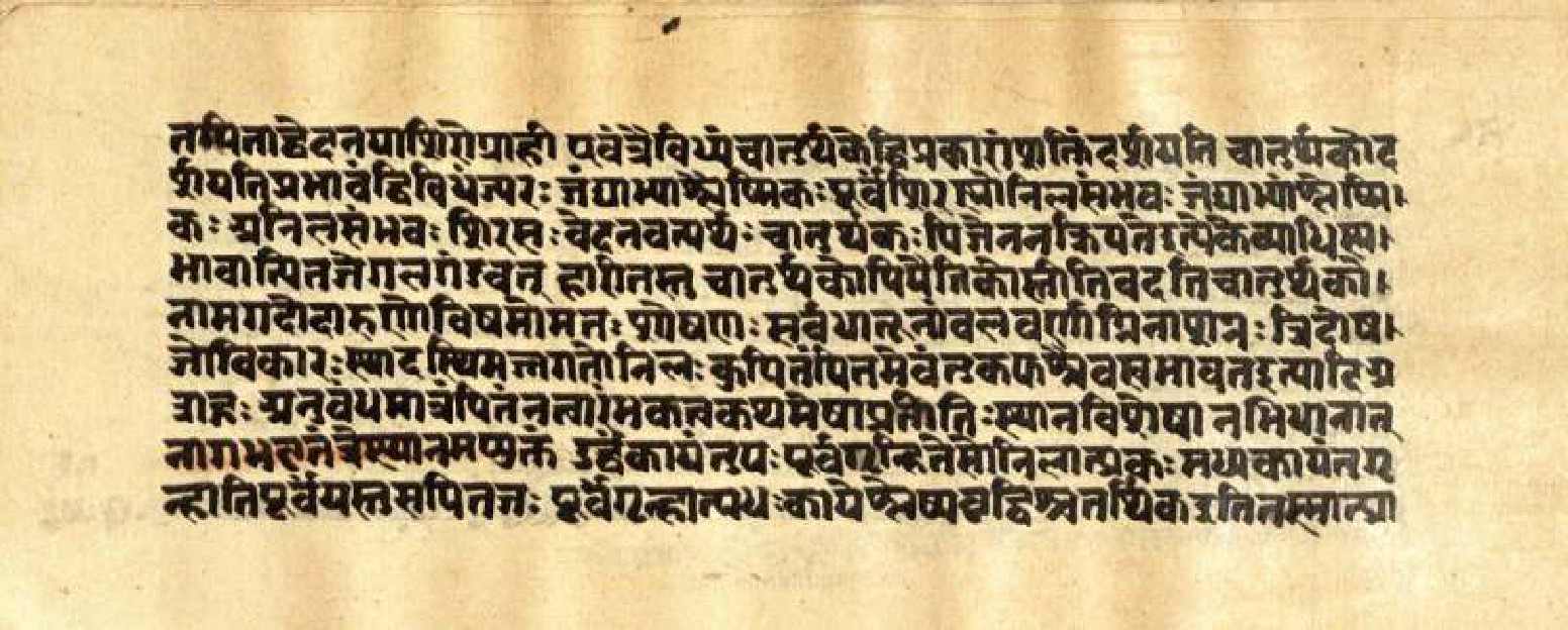 Mādhavanidāna (3), page 71