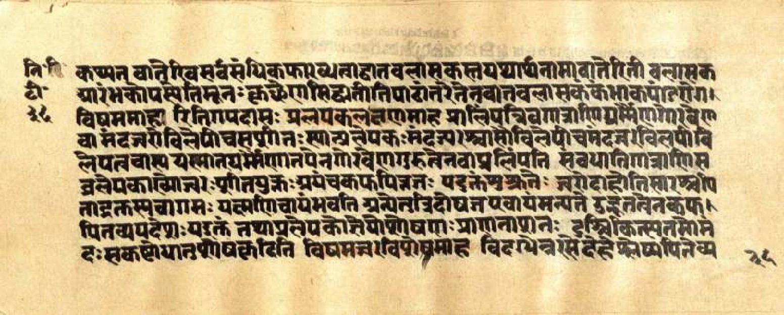 Mādhavanidāna (3), page 74
