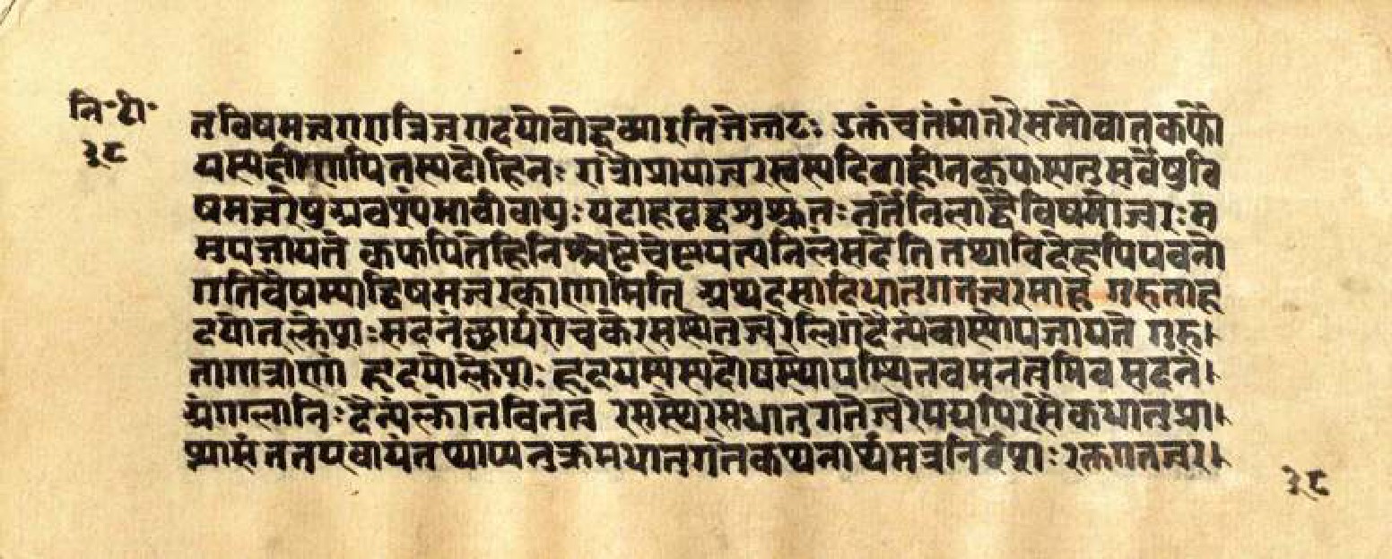 Mādhavanidāna (3), page 78
