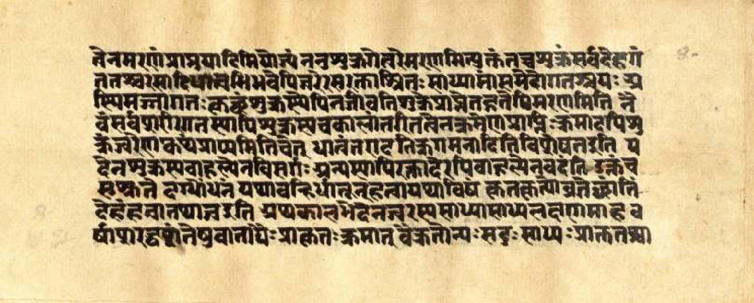 Mādhavanidāna (3), page 81