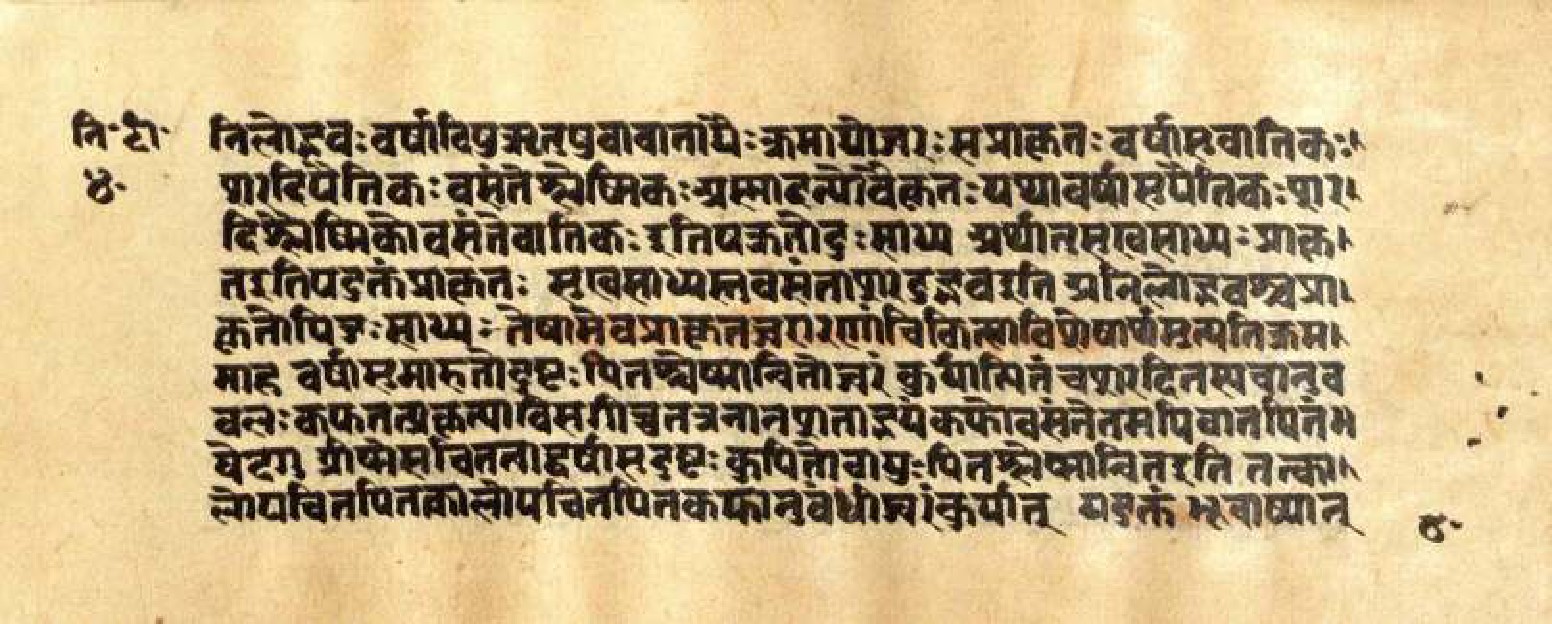 Mādhavanidāna (3), page 82