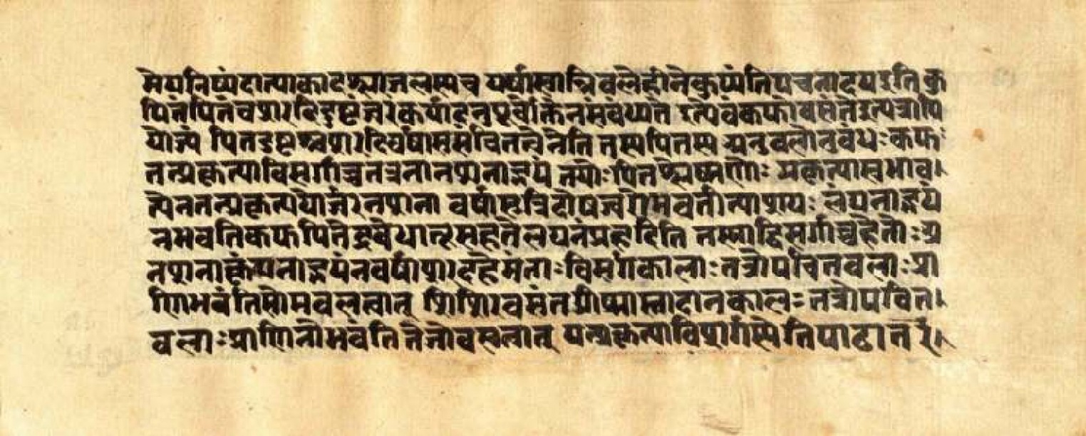 Mādhavanidāna (3), page 83