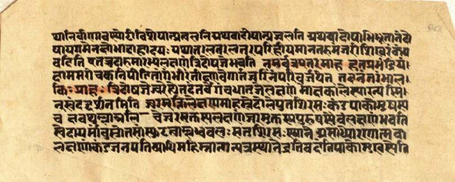 Mādhavanidāna (3), page 95