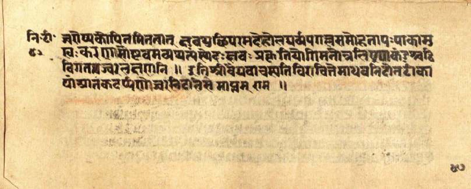 Mādhavanidāna (3), page 96